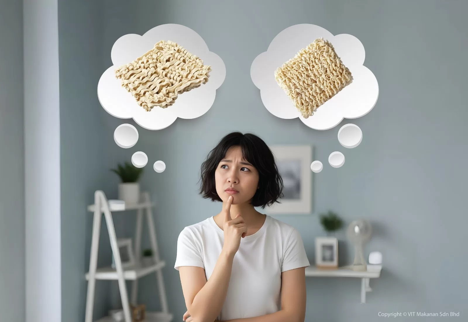 Air-Dried vs. Fried Instant Noodles: Which Is Better for Your Brand?